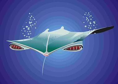 59 MANTA RAY