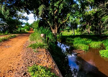 Rural Road river