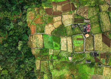 Chao da Ribeira farmland