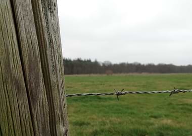 Landscape The Netherlands