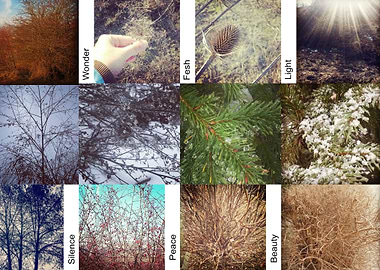 Nature Words collage