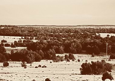 HighEnd Photography Artist