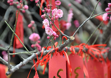 The Flowers of the temple
