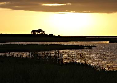 Marsh Landscape Baytown