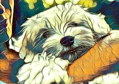 Maltese Puppy Glassy Dog