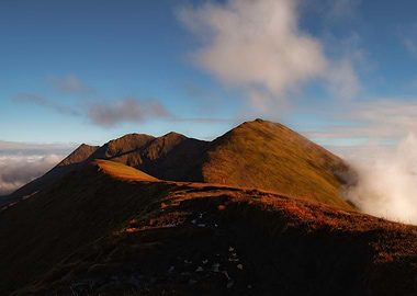 McGilly Caddys reeks