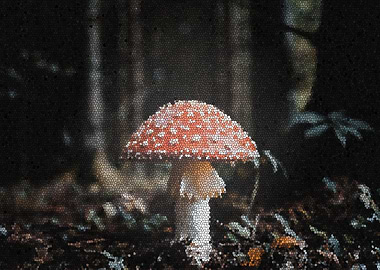 Mushroom