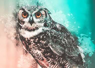 Owl Watercolor