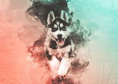 Husky Watercolor