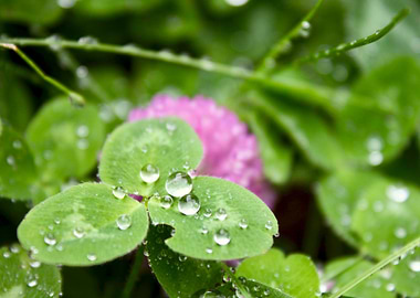 Waterdrops