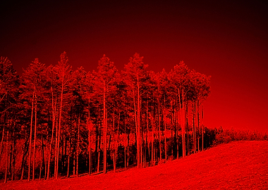 INFRARED LANSDCAPE 2