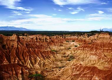 Tatacoa Landscape