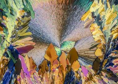 Drugged Supernova II