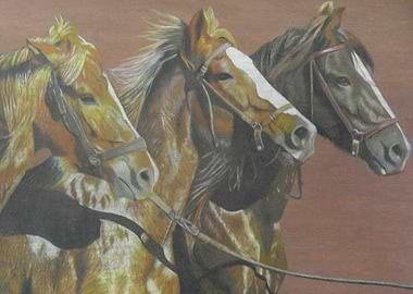 Three Horses