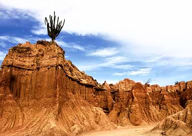 The captus of the top