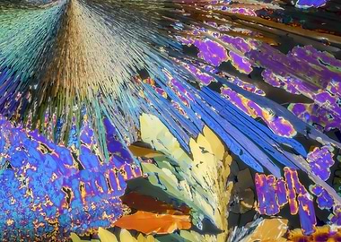 Drugged Supernova III