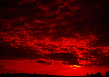 INFARARED LANDSCAPE 3