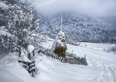 Karpathian snowy winter