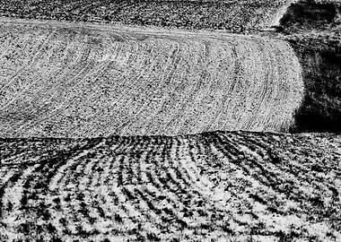 Black and White words