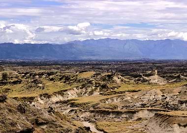 Grey Tatacoa Landscape