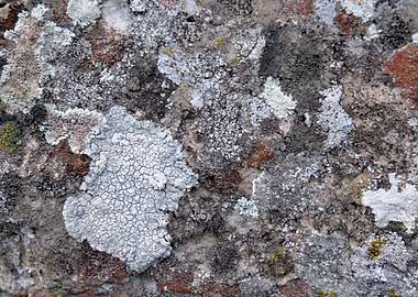 The time of the rocks