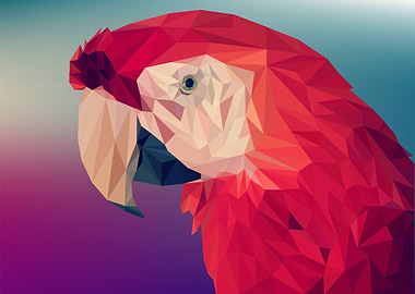 Abstract macaw