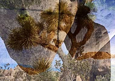 Scratch Or Be Scratched