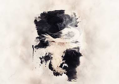 Bernedoodle Classic Sepia