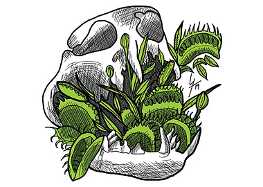 Venus Flytrap Skull