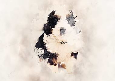 Bernedoodle Classic Sepia