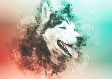 Husky Watercolor