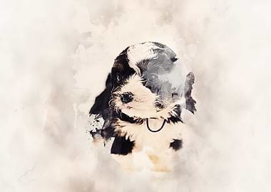 Bernedoodle Classic Sepia