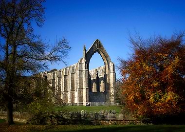 Bolton Priory
