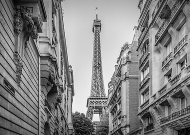 Parisian Flair monochrome