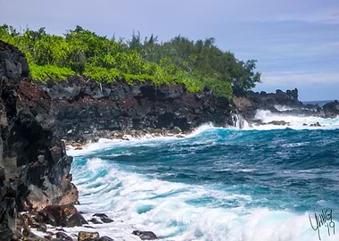 Puna Coast