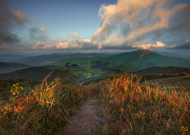 Bieszczady Mountains