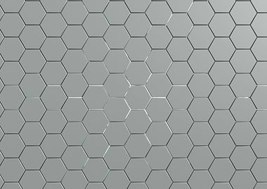 White Hexagon Grid 1