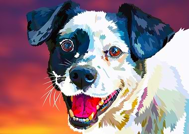 Black and white happy dog