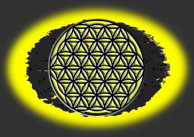 Flower of life on a stone