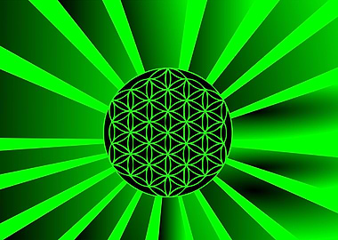 Everything is vibration