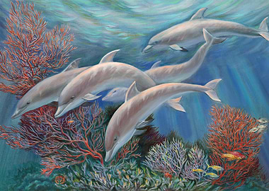 Happy Family Dolphins