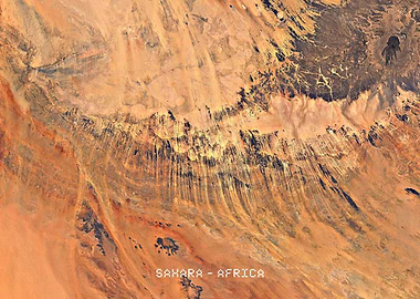 Eyelashes of the sahara