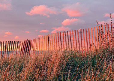 Beach Fence