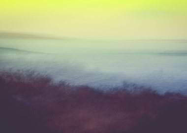 Somewhere Along the Sea