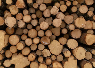 Wood logs