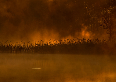 Early in the morning