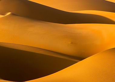 Golden Dunes