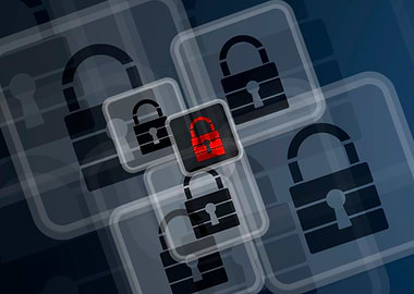 Cyber internet security