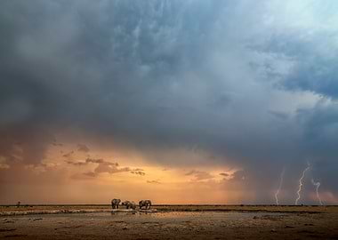 Thunderstorm Elephants