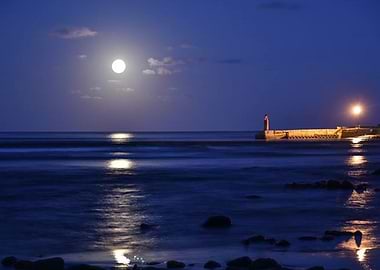 Moonlight by Harbour